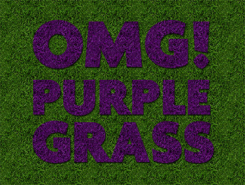 purple grass