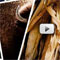 Material Image