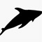 Material Image