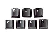 Keyword optimization by Professional SEO Company