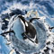 Material Image