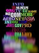 The way to Sell a Domain Name for Maximum Profit
