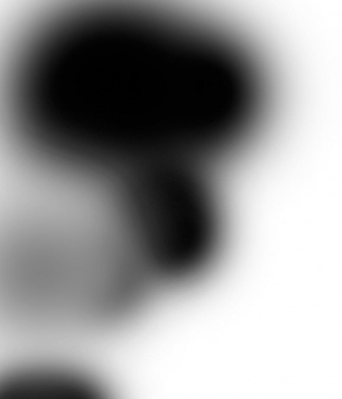 image 23