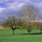 Material Image