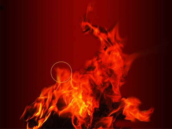 image 15