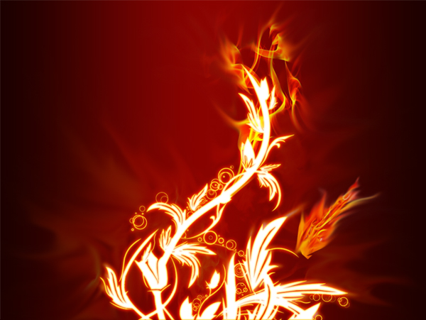 image 21