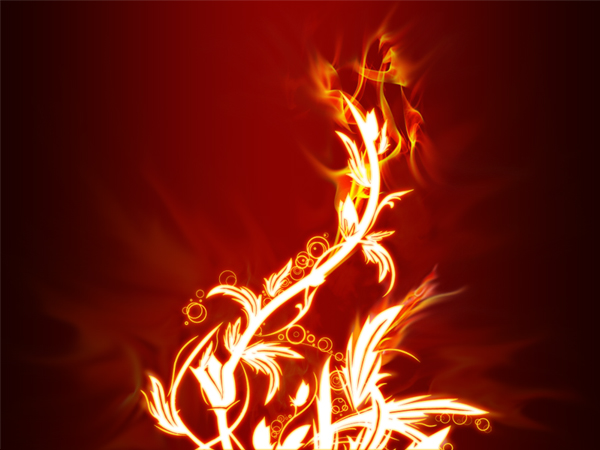 image 22