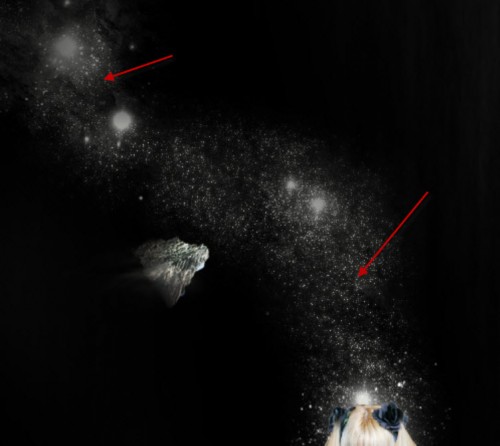 image 22