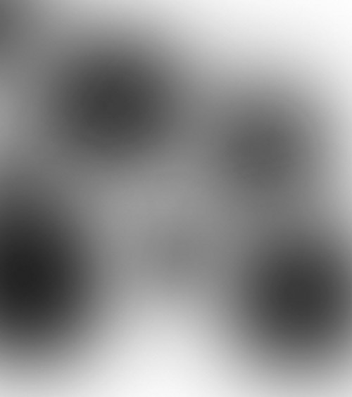 image 29