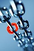 The Real Relevance of Website-Linking