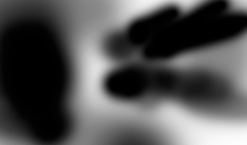 image 29