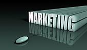 Vital Role Played by SEO in Internet Marketing