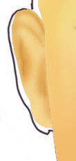 image 30