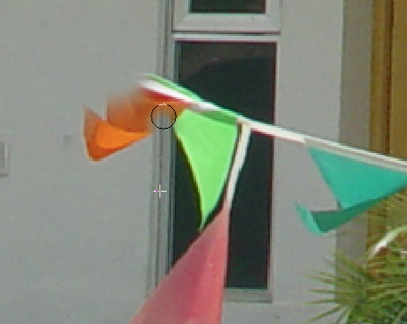 image 13