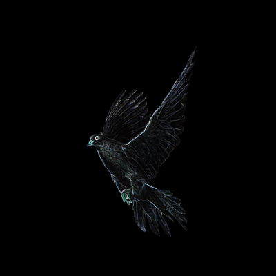 image 22