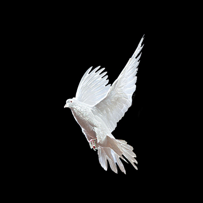 image 24