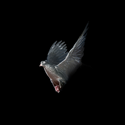 image 26