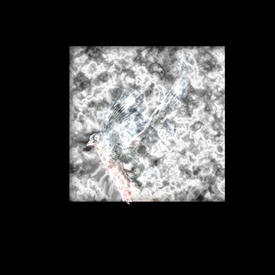 image 28