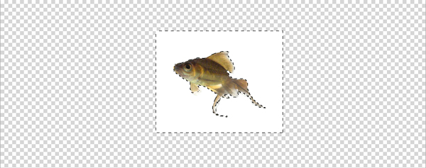image 31