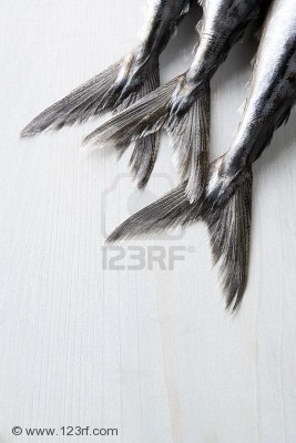image 29