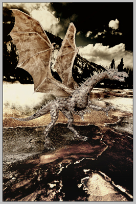 image 22