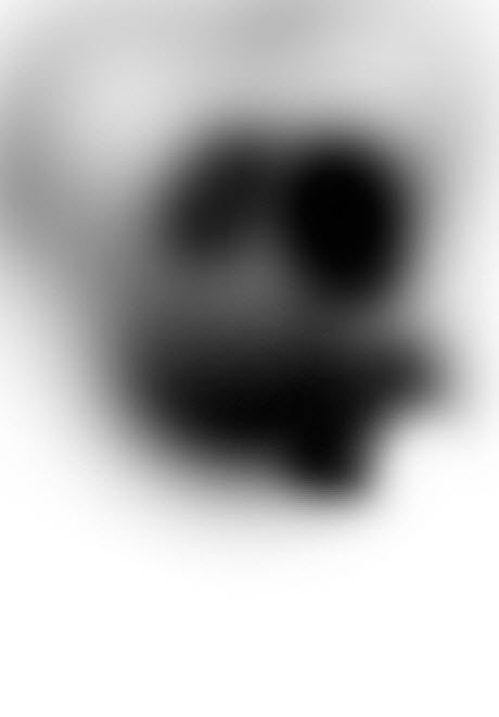 image 31