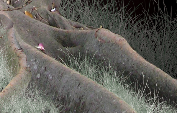 image 63