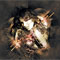Material Image