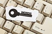 Standard Search Engine Optimization Ideas
