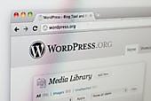 Creating a Wordpress Site
