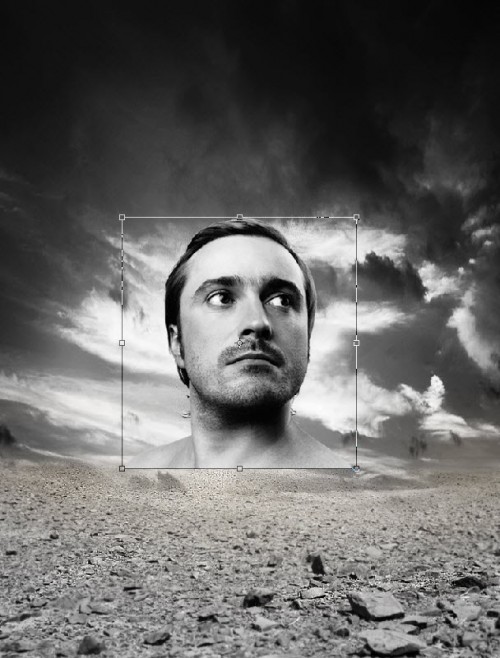 Img