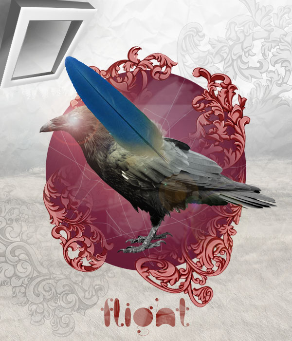 Img
