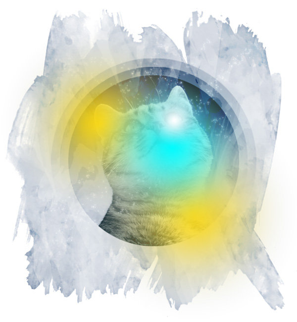 Img