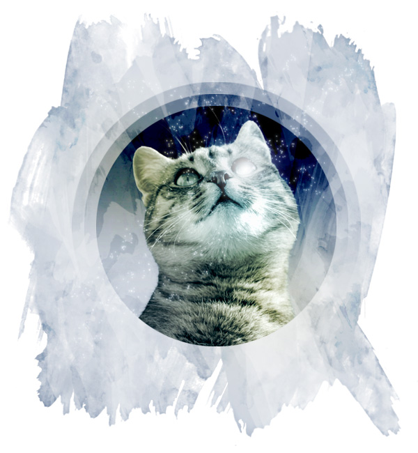 Img