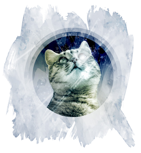Img