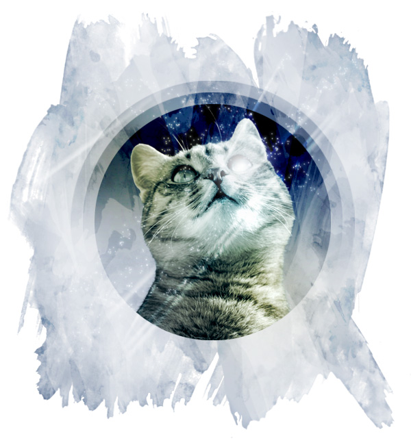 Img