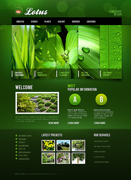 Website Template