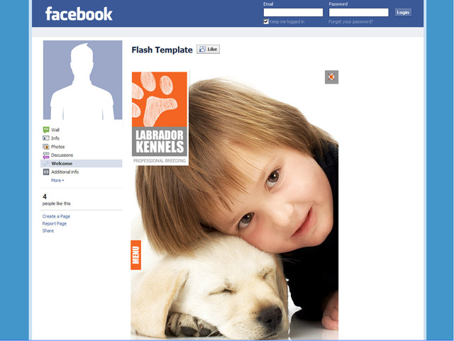 Custom Facebook Fan Page