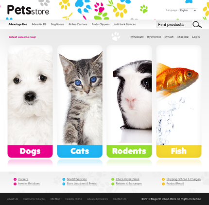 Store Magento Theme