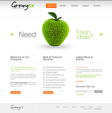 Minimal Website Design