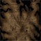 Click to read this material