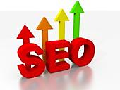 Do You Need SEO for Your Business Website?