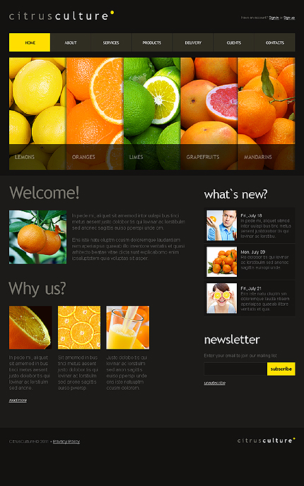 Drupal Template