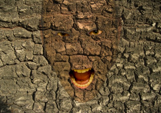Img