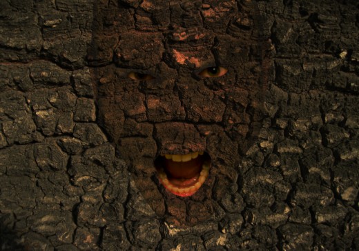 Img
