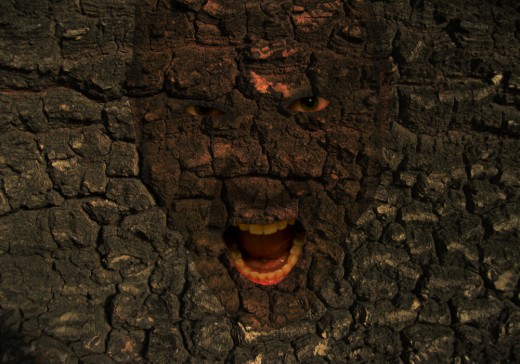 Img