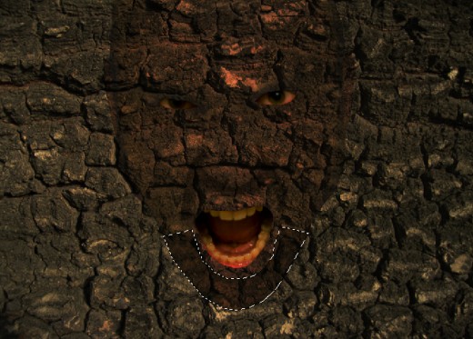 Img