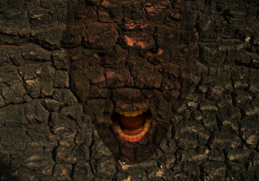 Img
