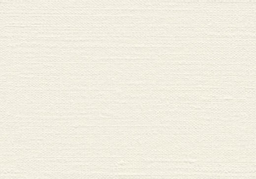 Canvas+texture+photoshop+brush