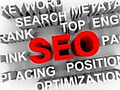 How to find the right SEO services provider?